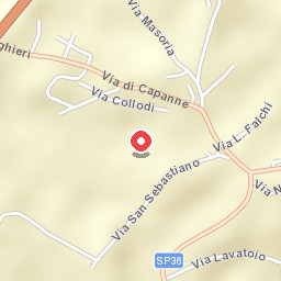 Ulivo A