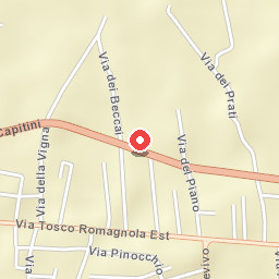 Casa Elefante