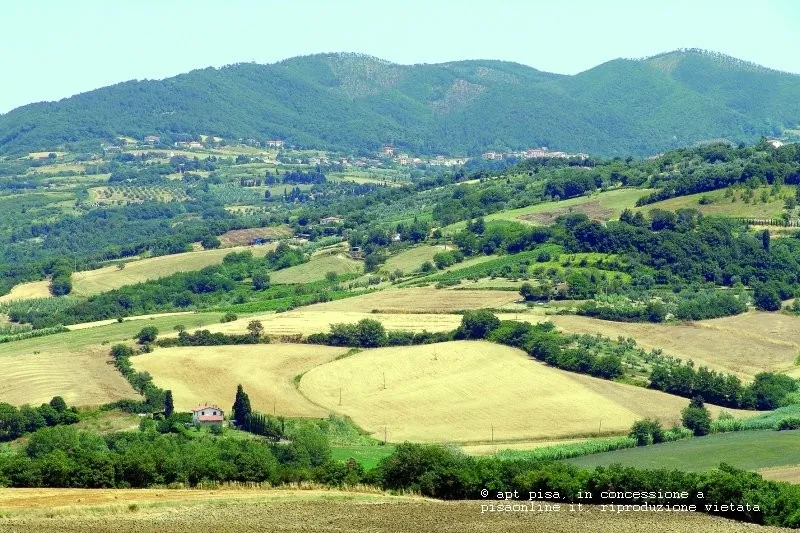 Pontedera 3