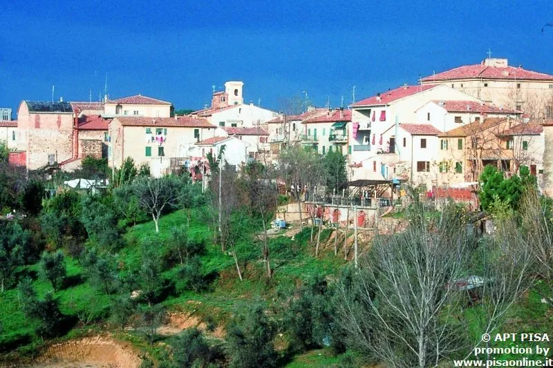 Pontedera