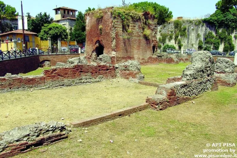 Pontedera