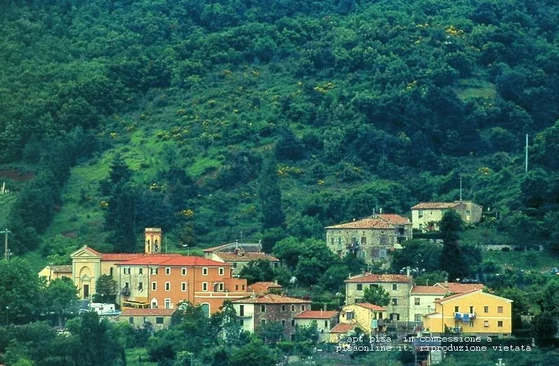 Pontedera