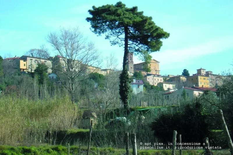 Casale Marittimo