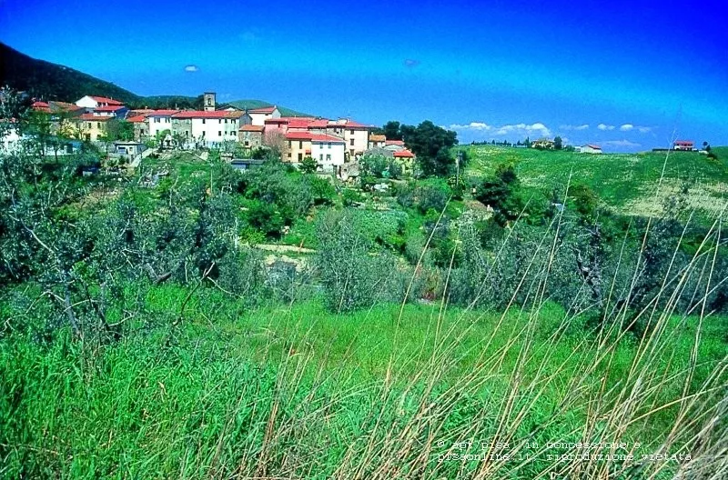 Montopoli in Val d'Arno