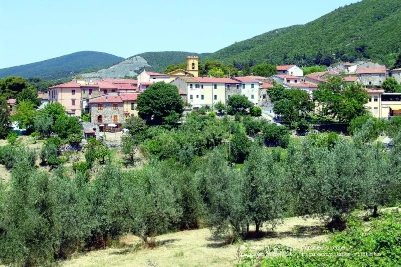 Chianni