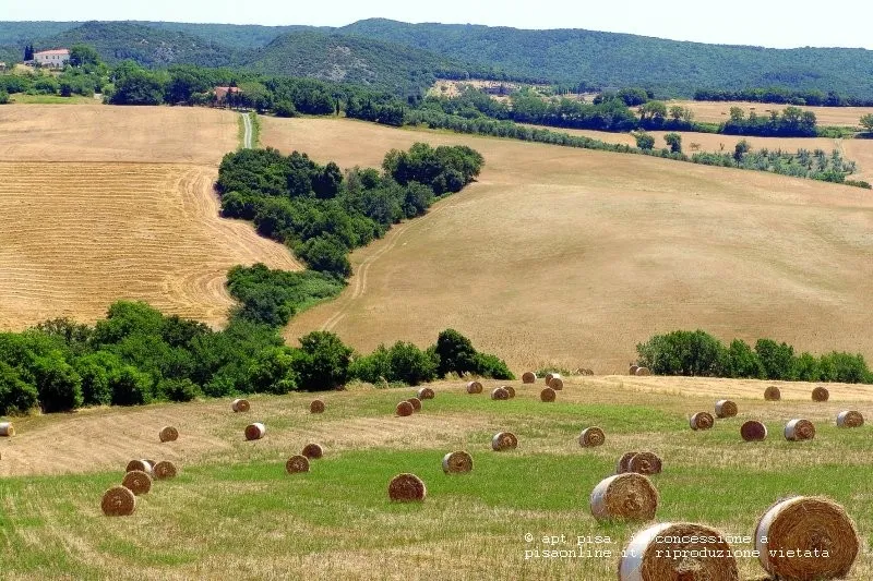 Castelnuovo di Val di Cecina