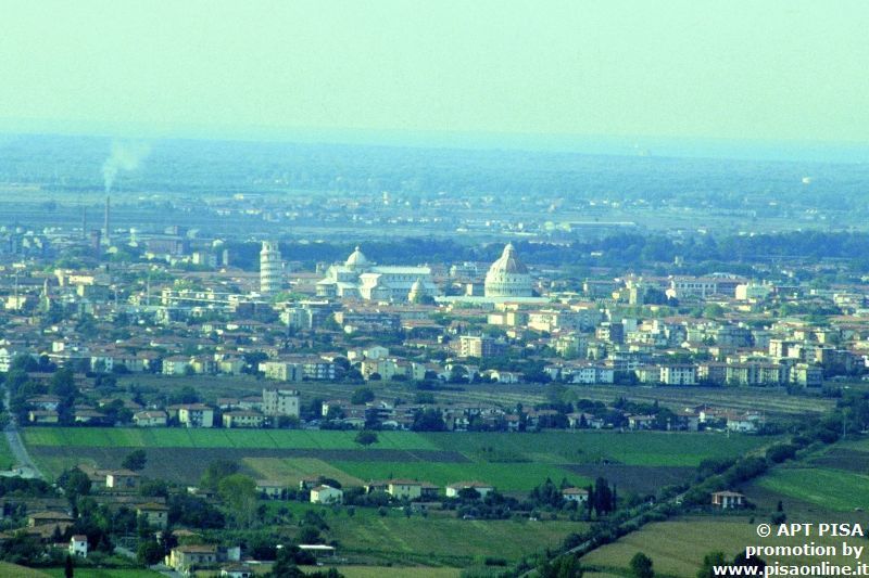 Pontedera